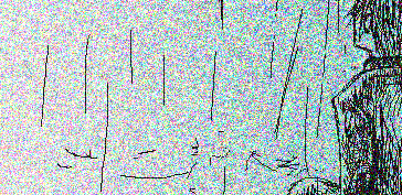 悲愴