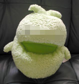 黄緑の方