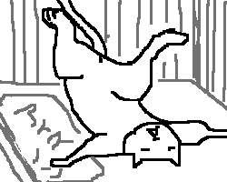 猫