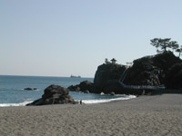 桂浜