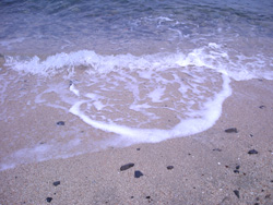 砂浜にゴミが多いが、海自体は比較的綺麗