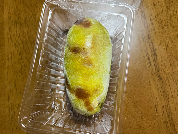 ポポー外観