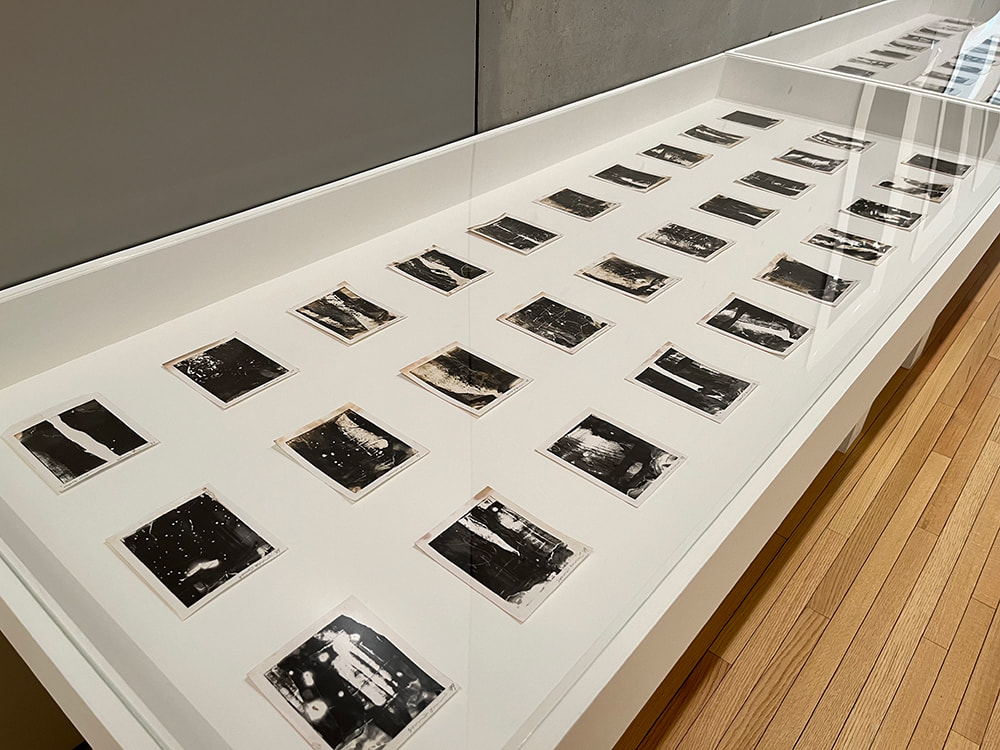 ポラロイド写真たち