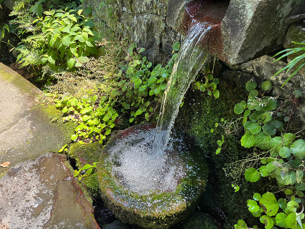 綺麗な湧き水
