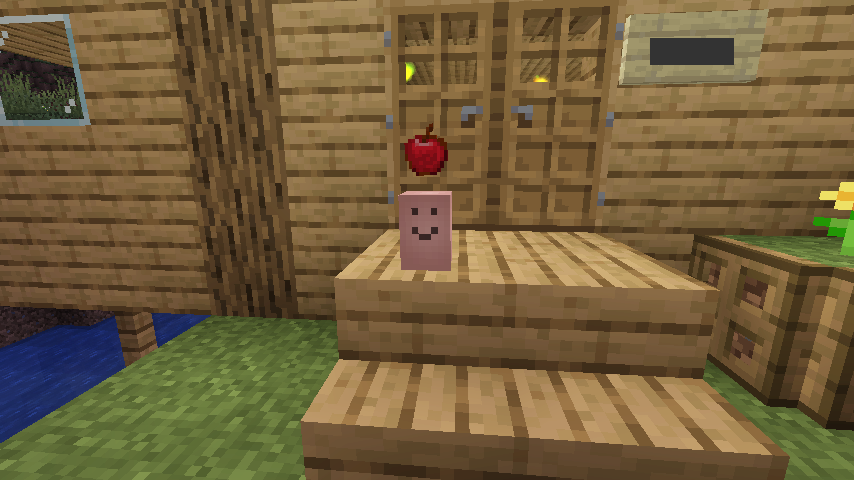 マルチマイクラ自宅玄関前