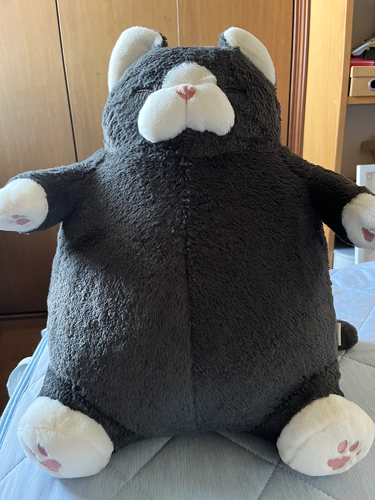 ねこ肯定感抱き枕