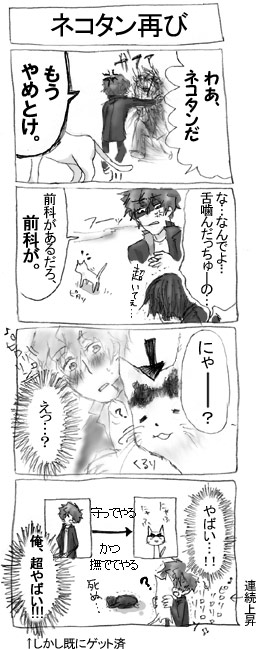 変な猫だなあ